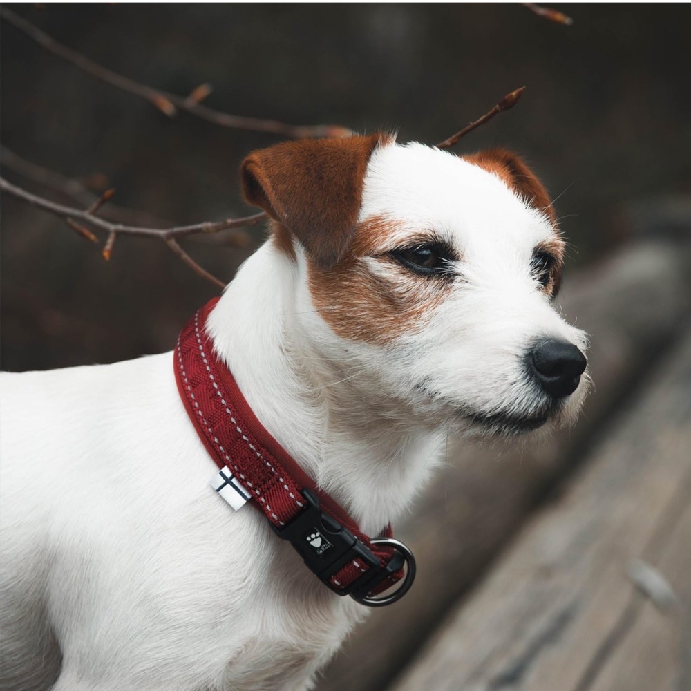 Hurtta collar